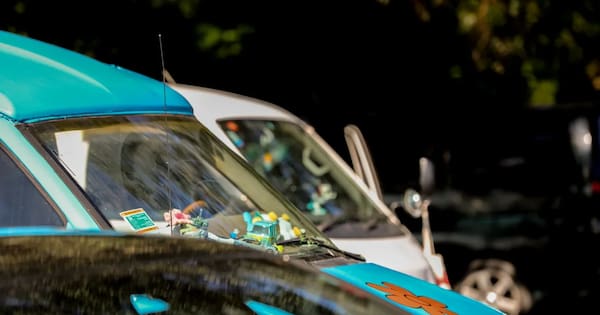 Auckland scouts battle defecating, littering carpark campers