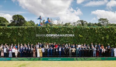 Switzerland urges all countries to submit ambitious new climate goals at COP30