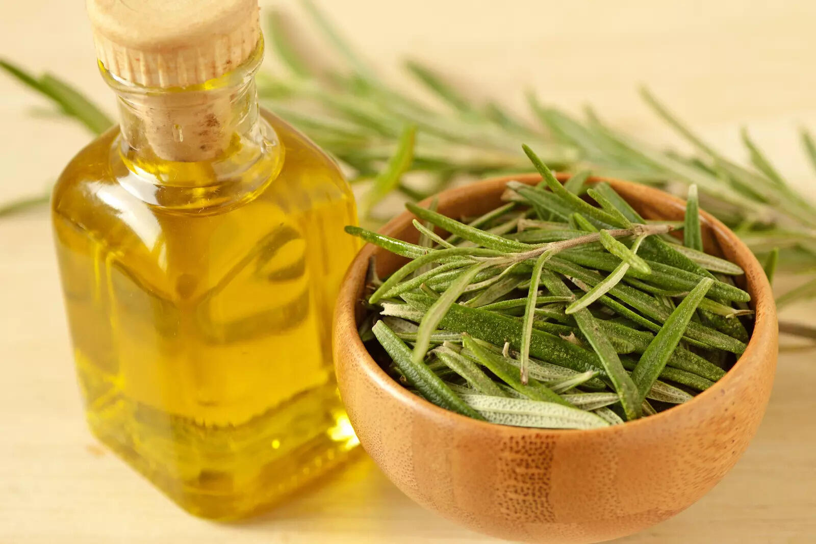 TikTok Was Right: Rosemary Extract Could Help Your Skin Heal Without Scars, Study Finds