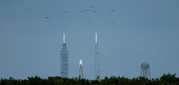 Shore birds fly past the New Glenn NG-2 sits in...