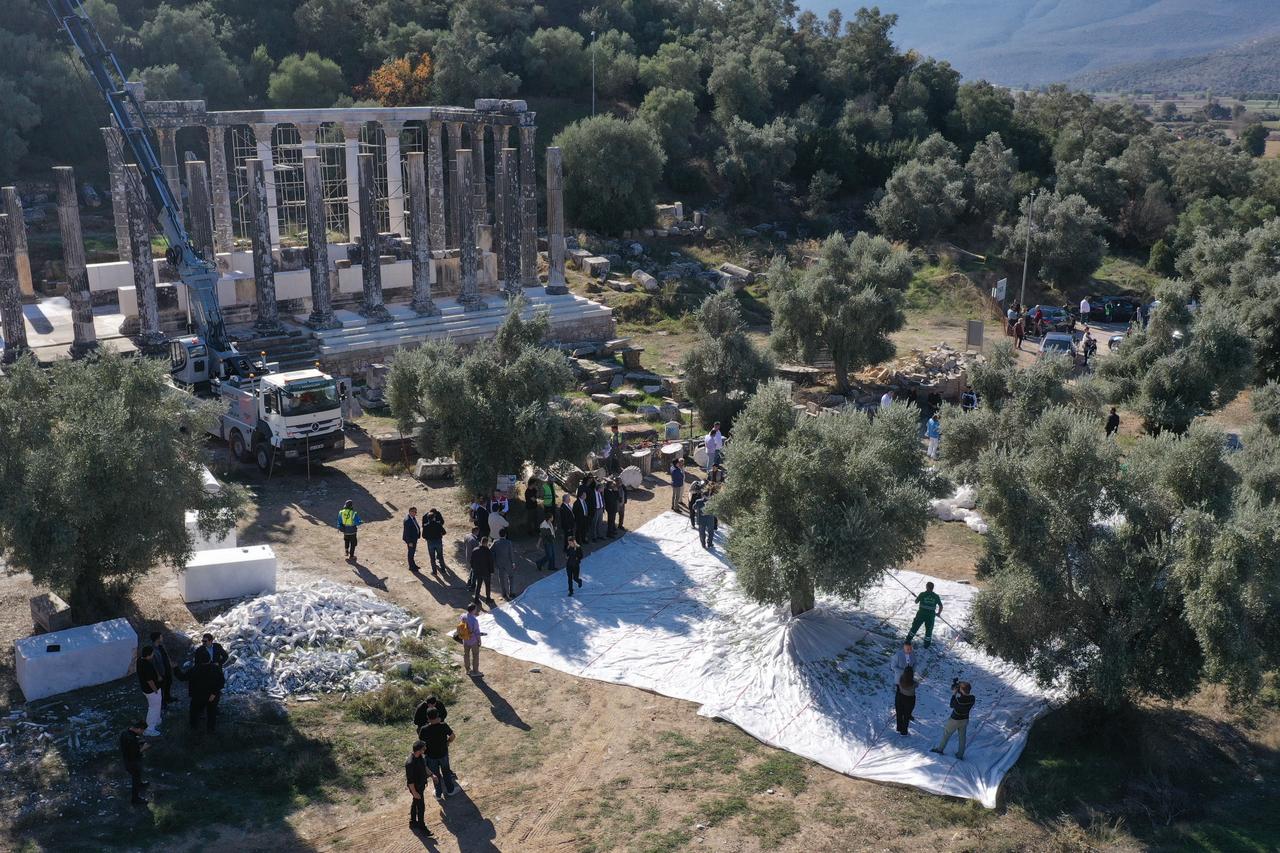 An aerial view shows participants harvesting olives around the Temple of Zeus Lepsynos at the ancient city of Euromos during the 11th International Milas Olive Harvest Festival in Milas, Mugla, Türkiye, Nov. 8, 2025. (AA Photo)