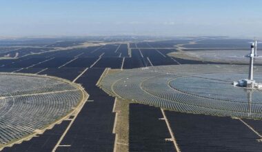 Trump’s words don’t match his actions on energy. Trump is actively thwarting increased domestic energy production, reliability and security while kneecapping the creation of good-paying jobs for Americans. Over 80,000 clean energy jobs have already been lost or stalled due to his actions.