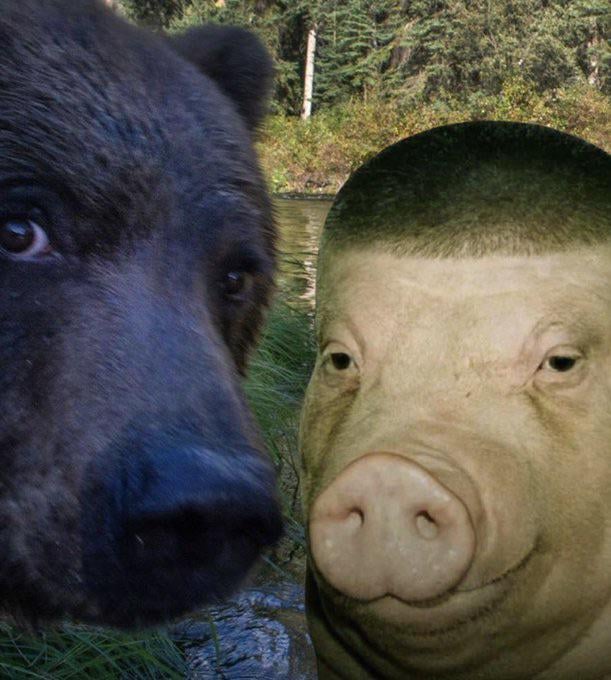 Аз и авера за риба