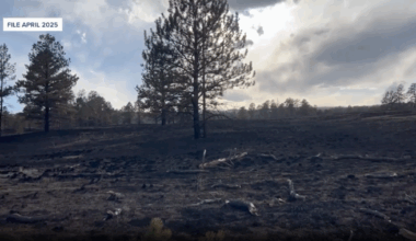 Turkey Tracks Shooting Range keeps causing fires, residents want accountability