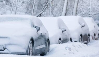 Freeport News: Tax levies for 2025, winter parking and new energy legislation