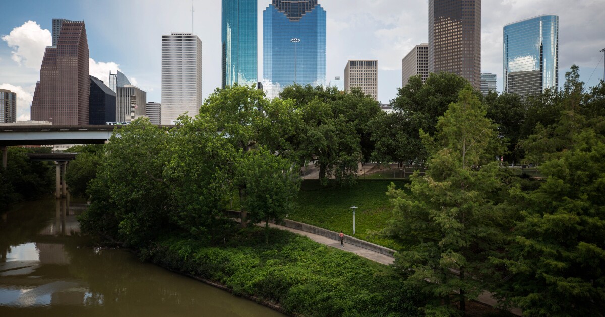 How a new map could alter Houston’s Congressional Districts