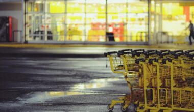 NC farmers, food sellers warn that tariffs are spiking Thanksgiving dinner prices