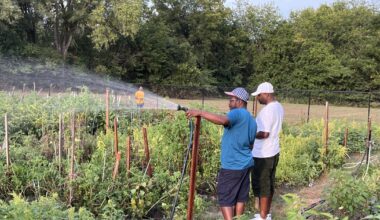 Refugees and other immigrants in Iowa learn they're no longer eligible for SNAP benefits