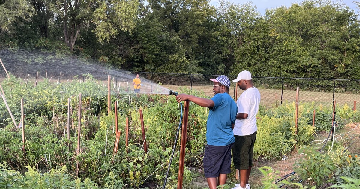 Refugees and other immigrants in Iowa learn they're no longer eligible for SNAP benefits