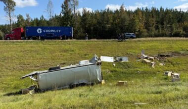 Mississippi homeowner shoots escaped monkey