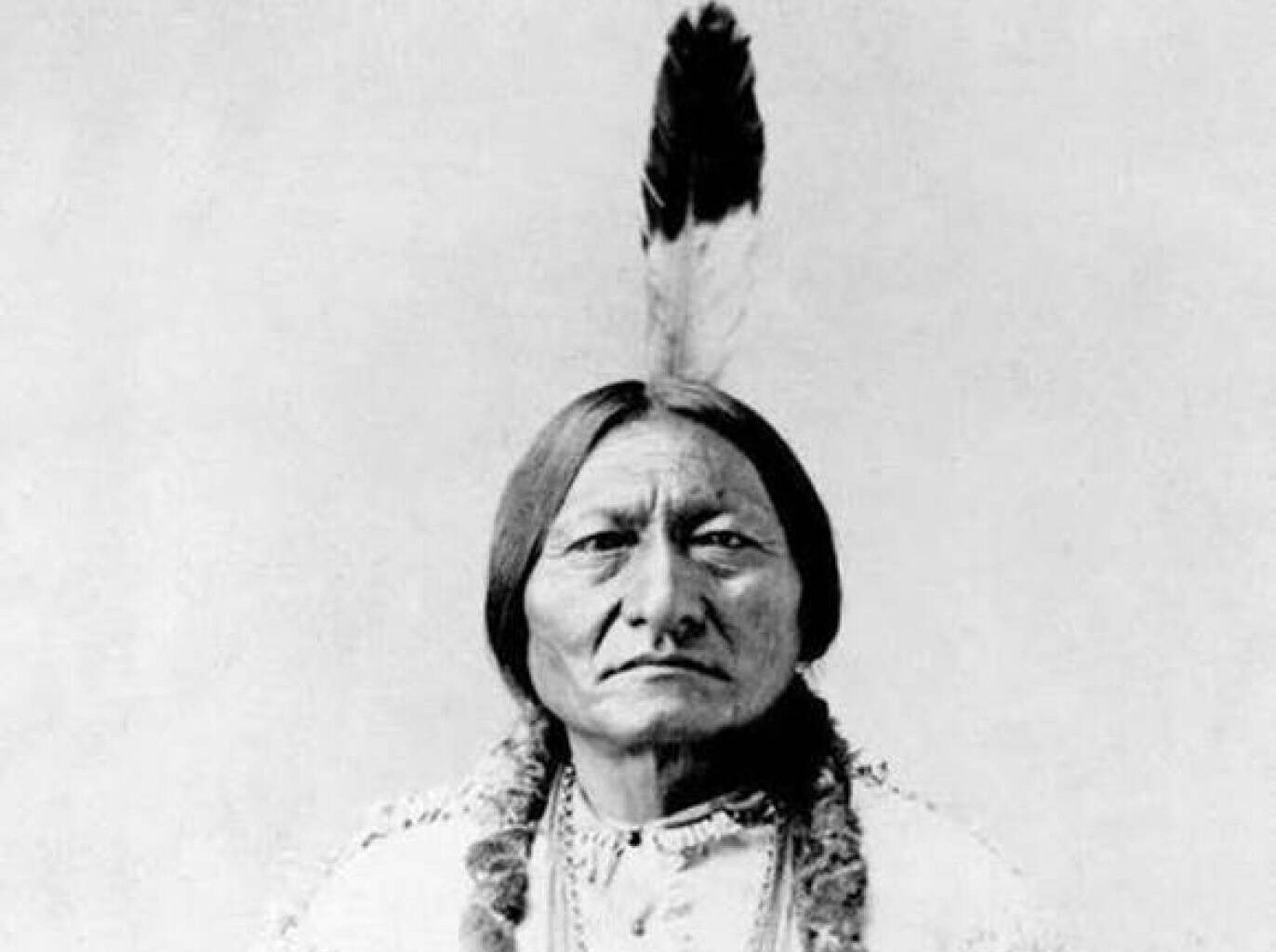 ‘Sitting Bull’s War' book chronicles fight for buffalo and freedom on the Great Plains - InForum