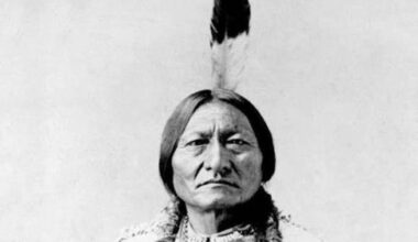 ‘Sitting Bull’s War' book chronicles fight for buffalo and freedom on the Great Plains - InForum