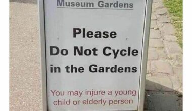 The middle-aged in York are safe