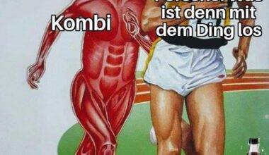 Wer checkt der checkt