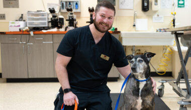 Dr. Bailey posed next to Pico the dog at the OSU veterinary teaching hospital.