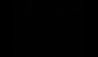 Here's a photo of my walk with my dog at 5PM! Enjoy! 💀💀