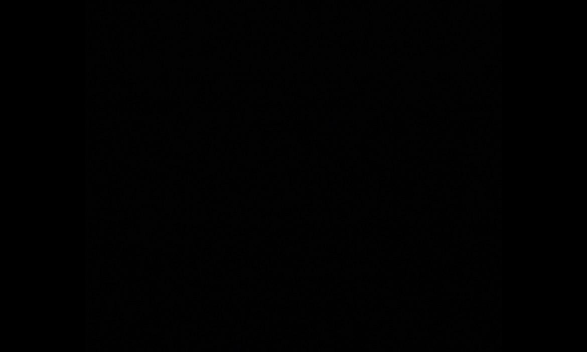 Here's a photo of my walk with my dog at 5PM! Enjoy! 💀💀