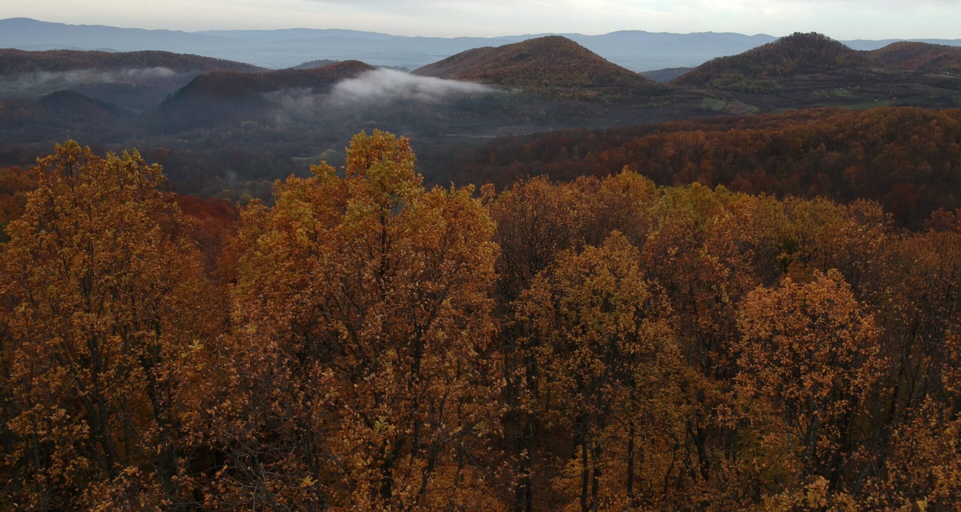 Krndija - The Eastern Croatian Mountain That Was an Island in the Sea