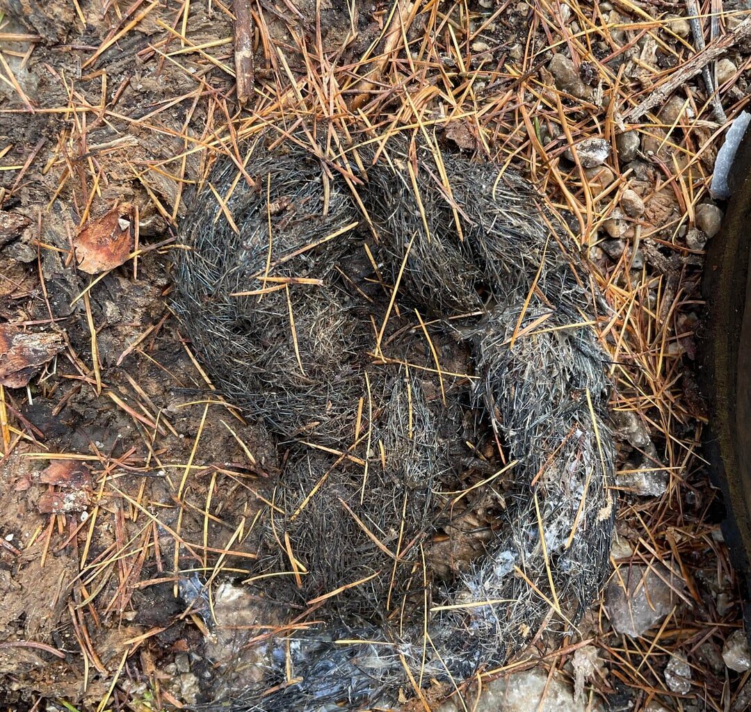 Wer hat das gemacht?