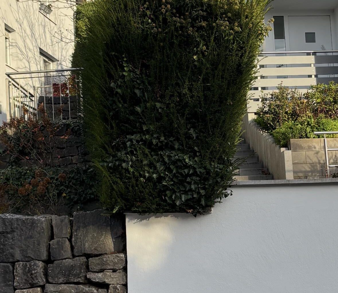 Wem gehört diese Hecke?