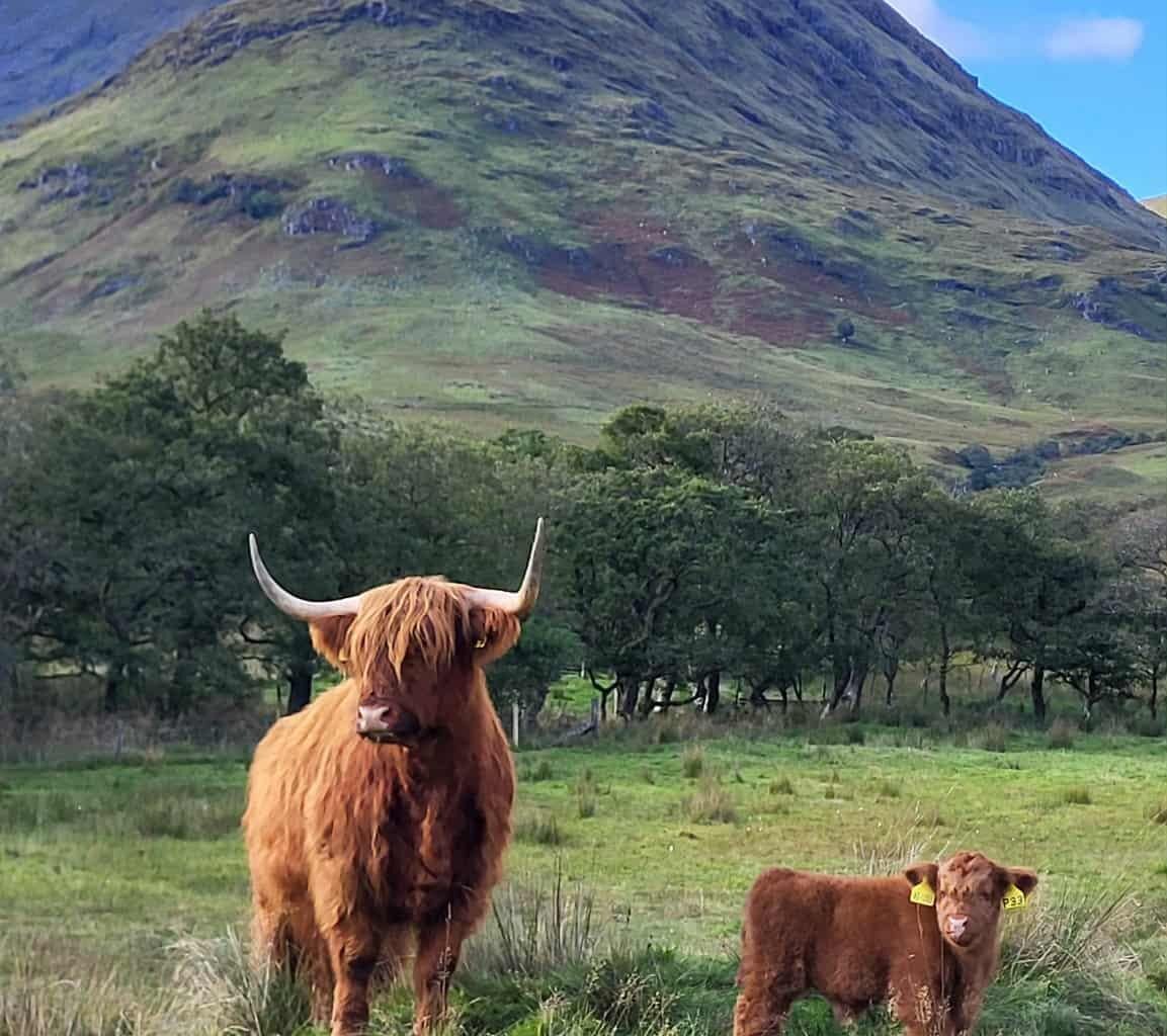 Beautiful scenes in Scotland