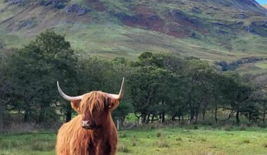 Beautiful scenes in Scotland