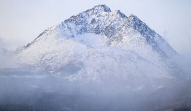Mŕtvoly zvierat rozhádzané blízko obydlí. Ochranári odhalili vnadisko priamo v revíri TANAP-u - Domáce - Správy