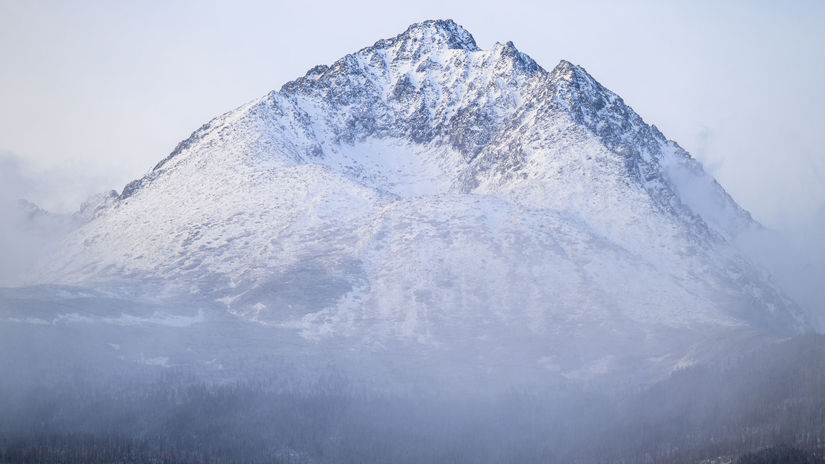 Mŕtvoly zvierat rozhádzané blízko obydlí. Ochranári odhalili vnadisko priamo v revíri TANAP-u - Domáce - Správy
