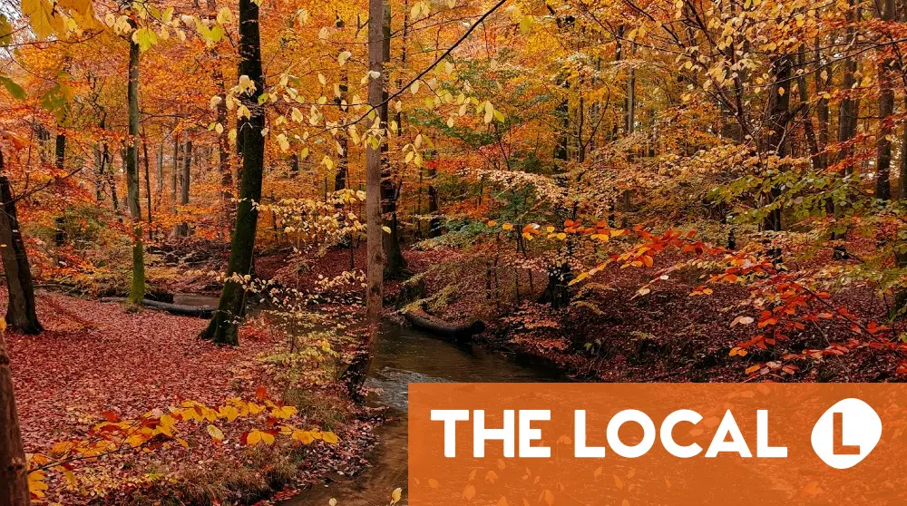 A roundup of the news on Tuesday