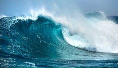 Symphony Wave Power's new wave energy converter operates fully submerged underwater, harnessing energy as waves pass over its exterior.