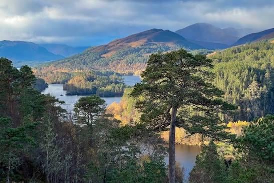 Glen Affric Viewpoints help