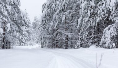Lietuvą jau pasiekė pirmasis sniegas: sinoptikai perspėja apie klastingus žiemos spąstus, būtina reaguoti