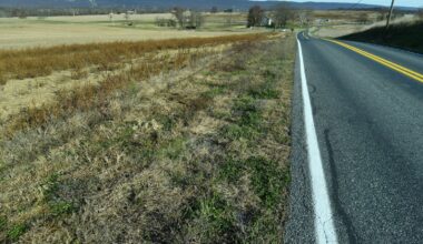 Future data centers are driving up forecasts for energy demand. States want proof they'll get built