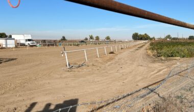 Federal judge orders release of 16 migrants detained in Idaho raid, citing due process violations