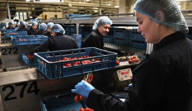 In Germany, the employment rate among Ukrainian refugees has risen by over 200% over the last three years.