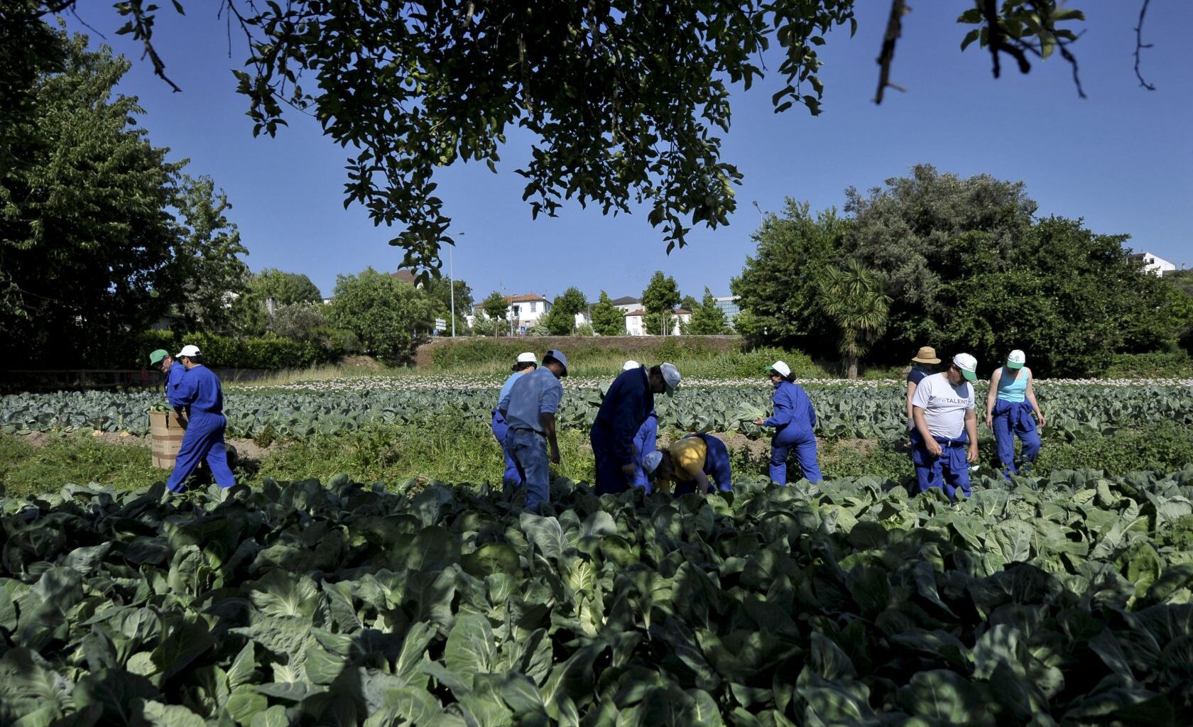 Minister justifies Portugal low wages
