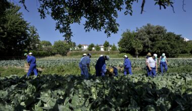 Minister justifies Portugal low wages