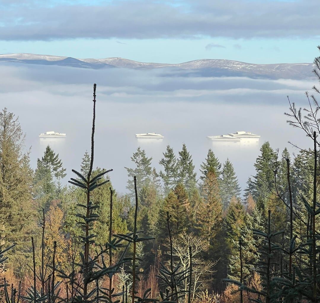 Near Falkirk, Saturday past