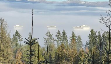 Near Falkirk, Saturday past