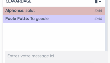 proposition de trouduction : chatter = clavarder
