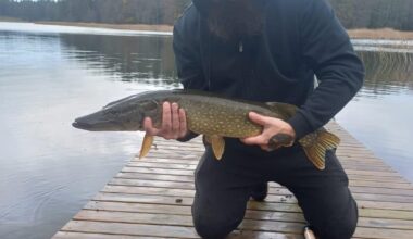 Just take me back can’t wait to get back fishing next year. 3rd photo is a jack I caught on my own made lure