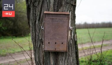 Egy somogyi kézbesítő nem hajlandó terjeszteni a Bors háborúval riogató mellékletét, 850 példány maradt nála