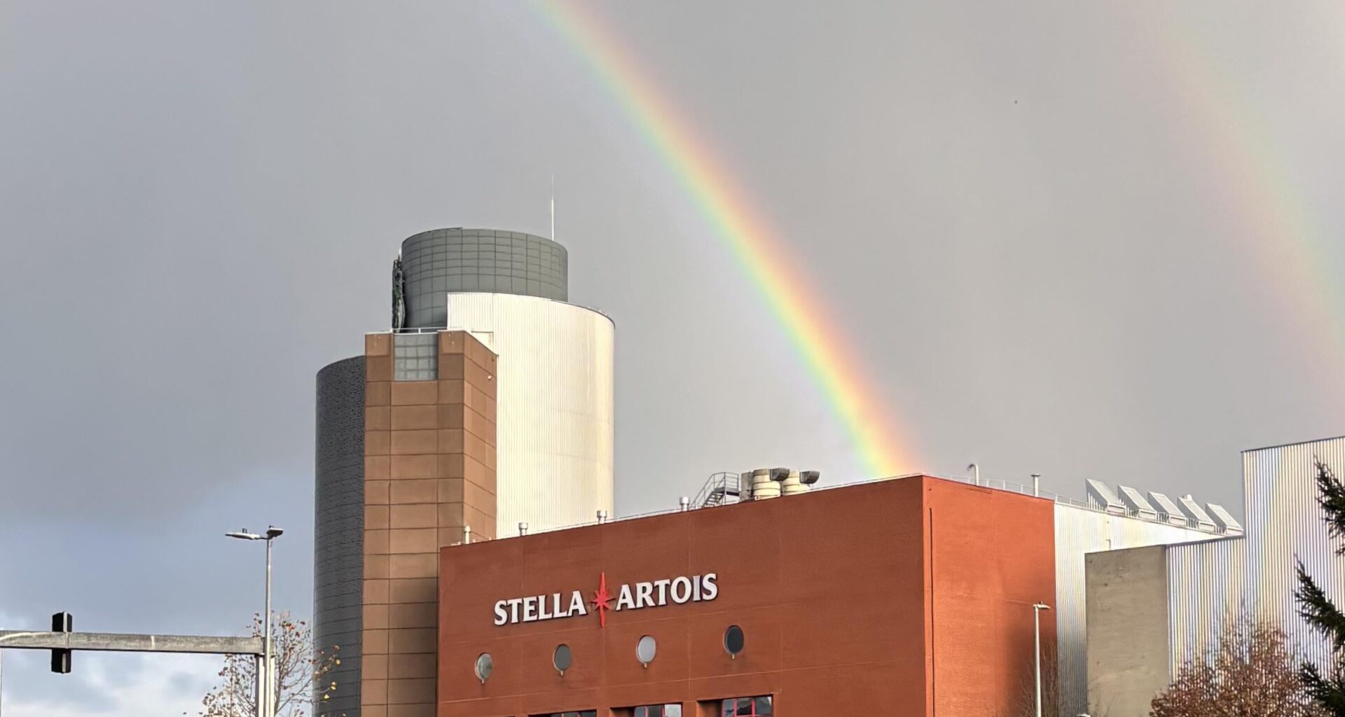 I knew there would gold at the end of the rainbow