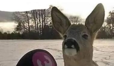 Winter steht vor der Tür