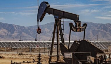 International Energy Agency: Oil here to stay, solar to surge with power demand