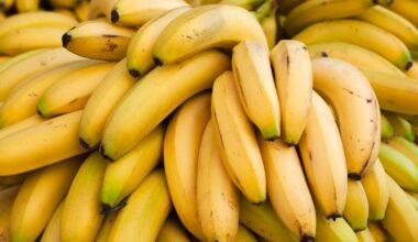 TACO Trump cuts tariffs on beef, coffee, bananas and other food imports