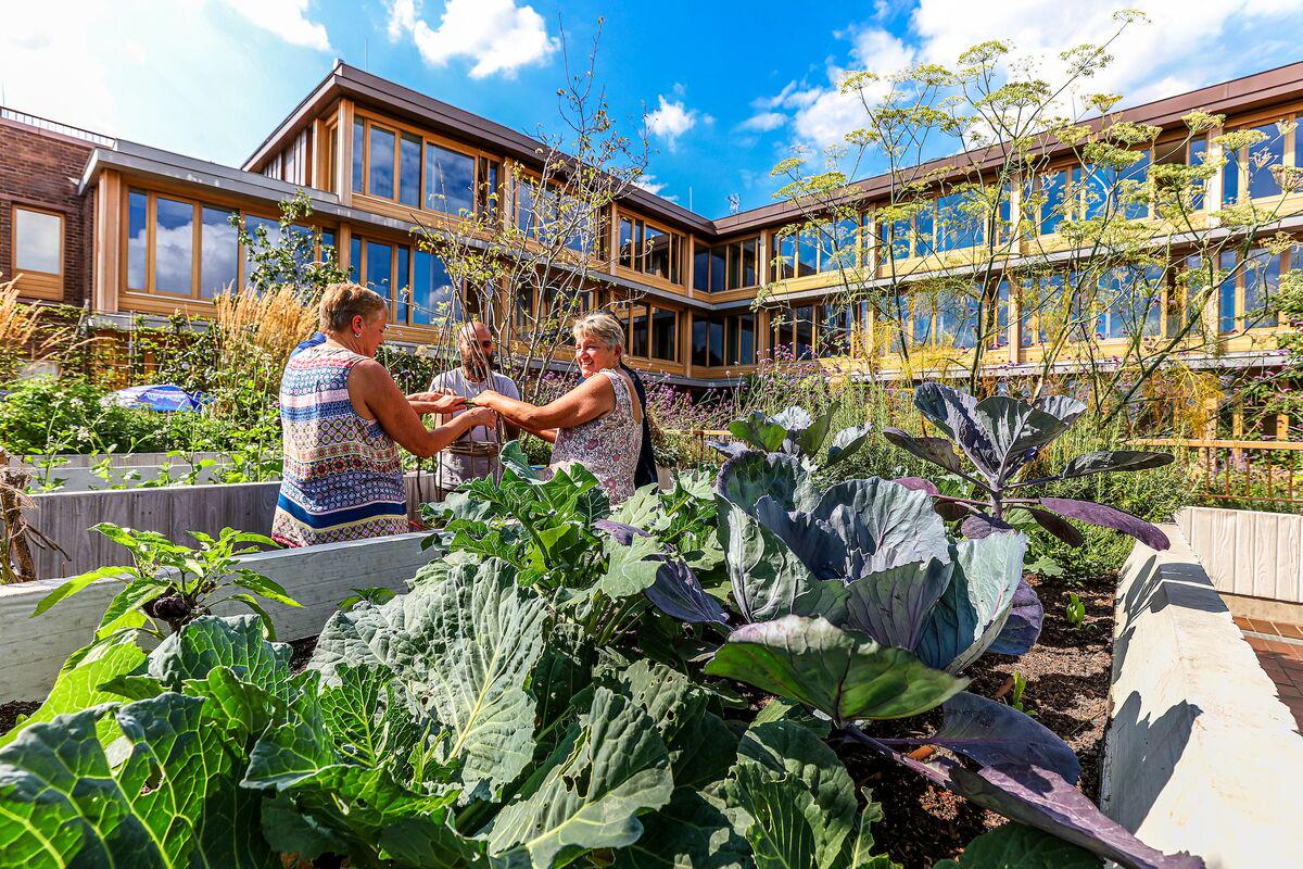 A Housing Complex Designed to Tackle Loneliness Wins Britain’s Best Building