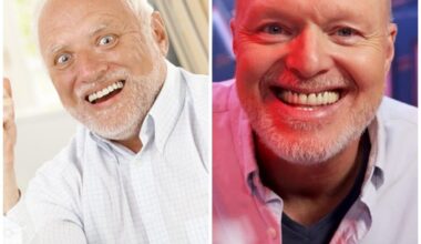 Hide the pain Harold sein Bruder