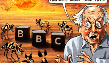 Tabloids getting ready for a feast