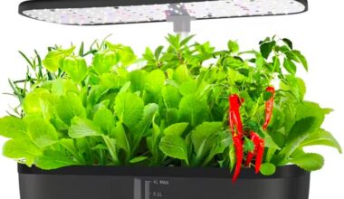 Hydroponic Anfangerfragen